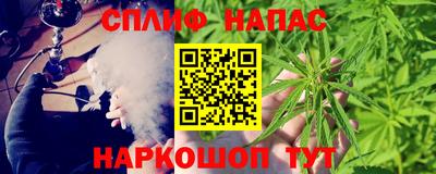 гашик Кунгур