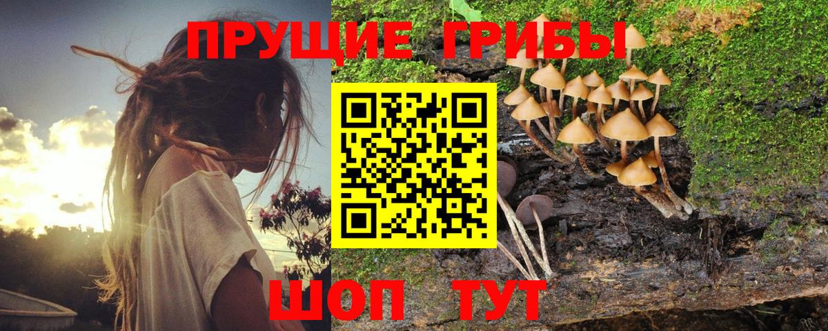 Псилоцибиновые грибы мухоморы  Псилоцибиновые грибы мухоморы  Вход с VPN  Абинск 
