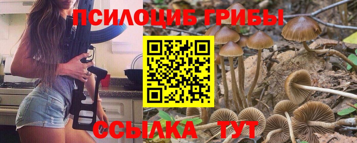 Псилоцибиновые грибы мицелий Абинск